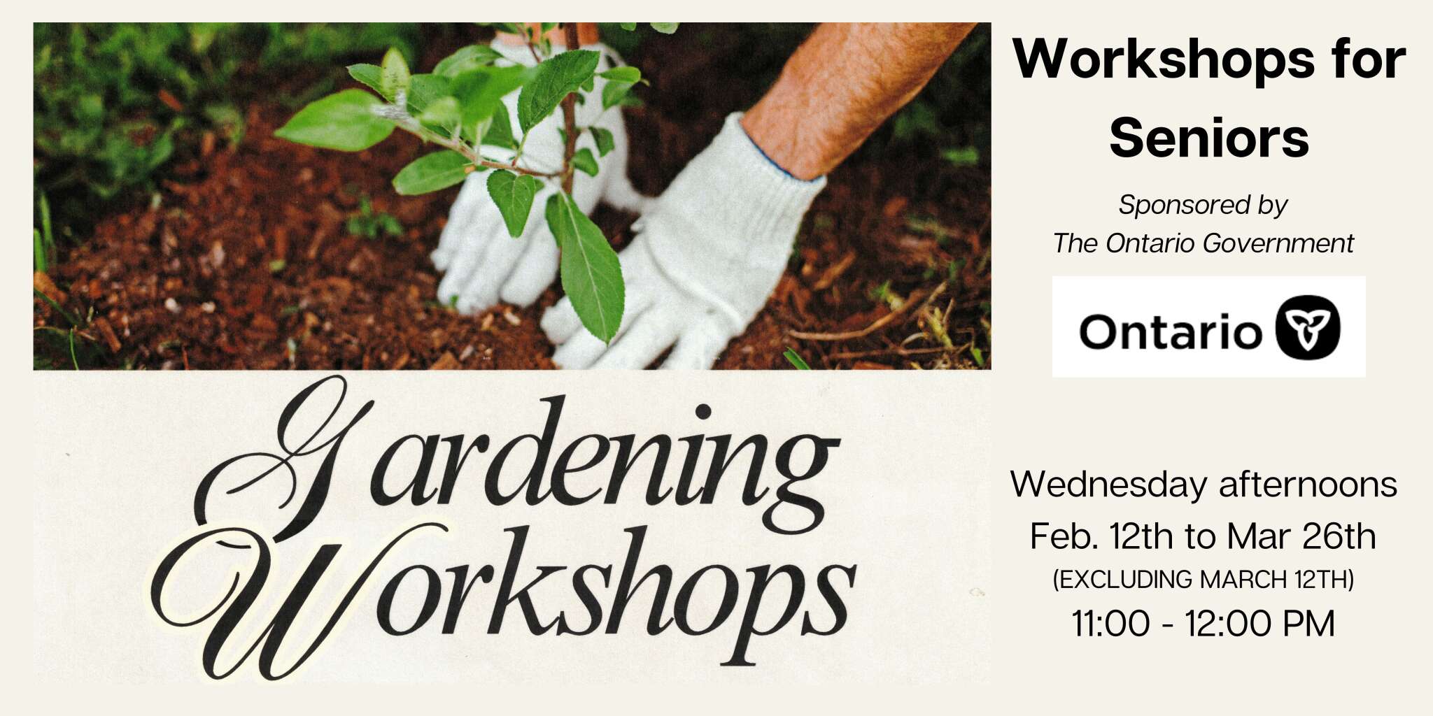 Gardening Workshops for Seniors