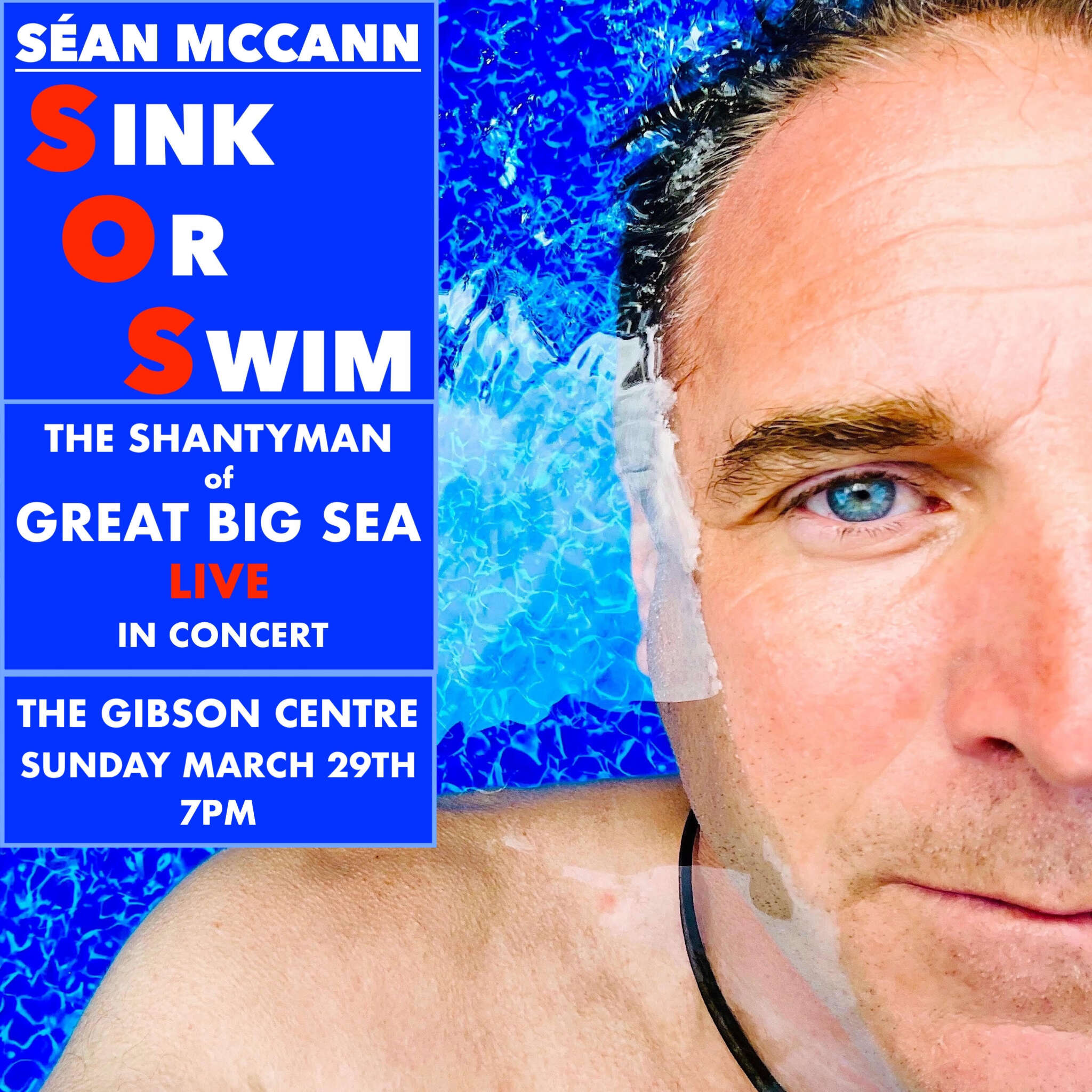 Séan McCann, Sink or Swim